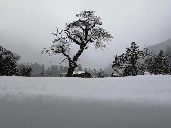 2022年4月1日酒驾新规醉驾拘留几天?-探索知识的无限边界-大洋网