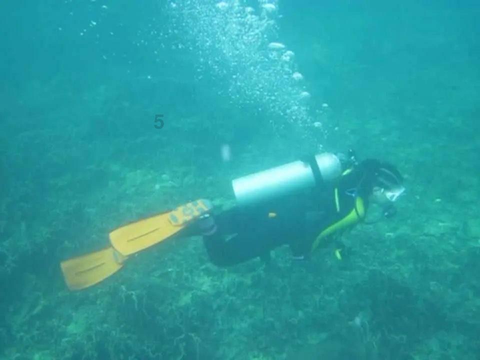 灌篮小高手